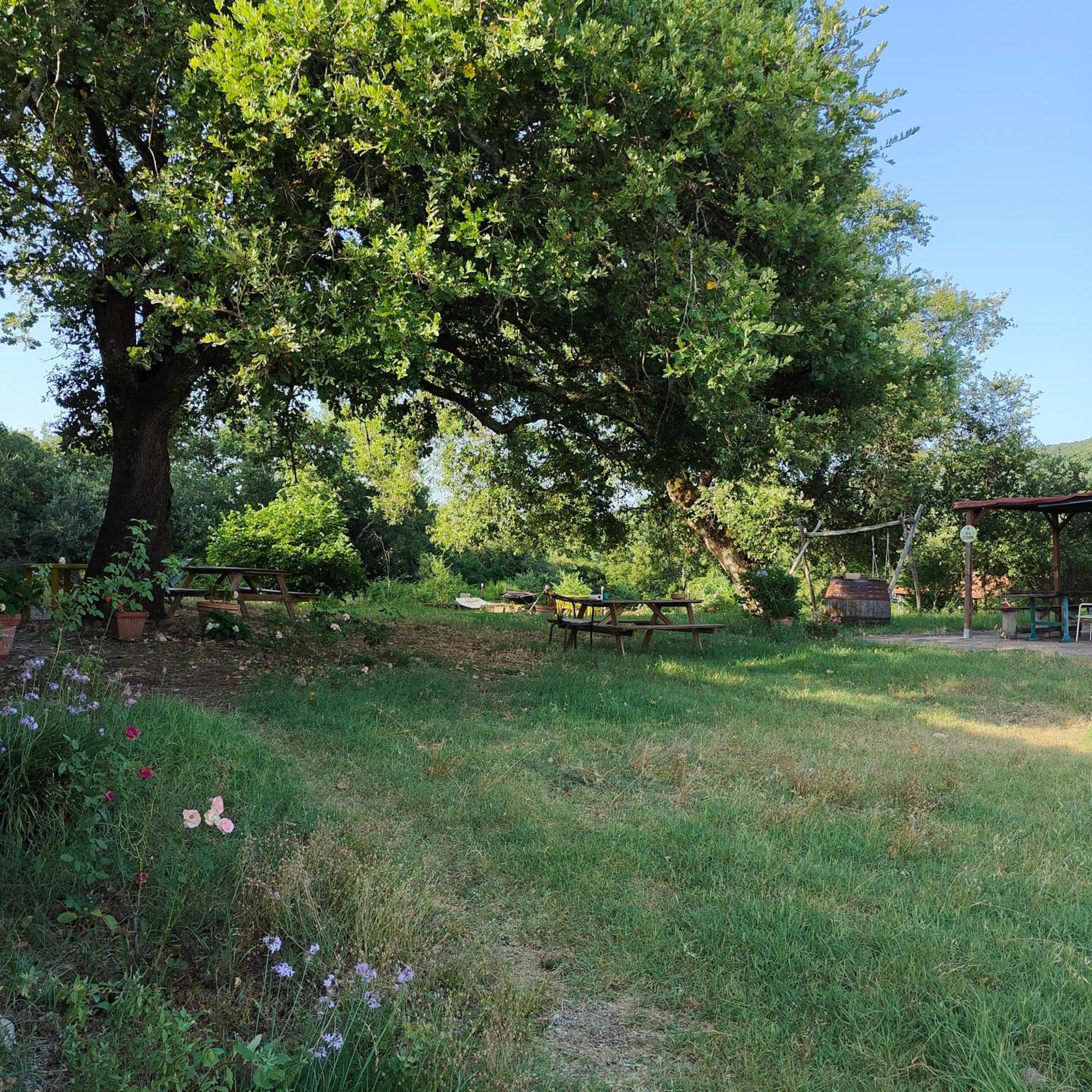 Agriturismo Il Casalino Pari Dış mekan fotoğraf