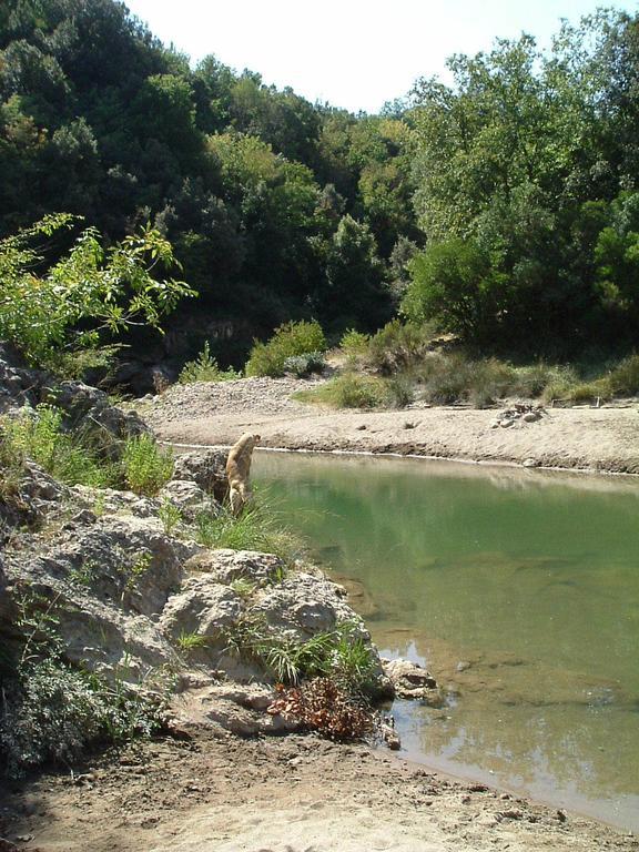 Agriturismo Il Casalino Pari Dış mekan fotoğraf