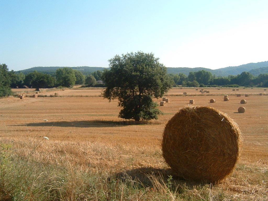 Agriturismo Il Casalino Pari Dış mekan fotoğraf