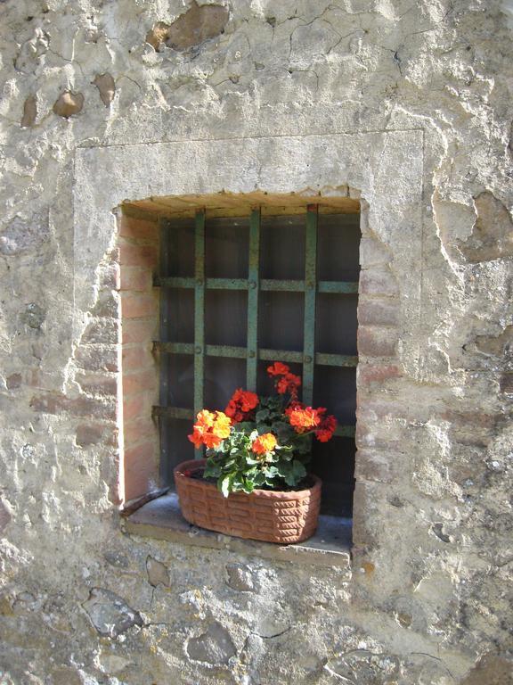 Agriturismo Il Casalino Pari Dış mekan fotoğraf