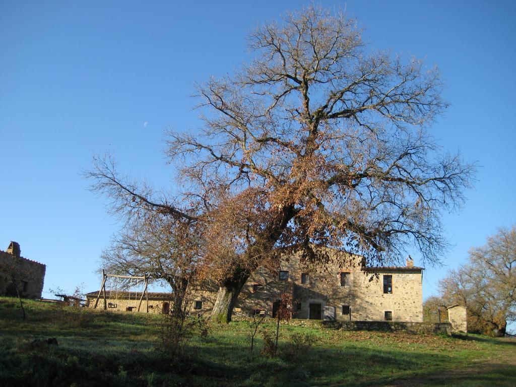 Agriturismo Il Casalino Pari Dış mekan fotoğraf