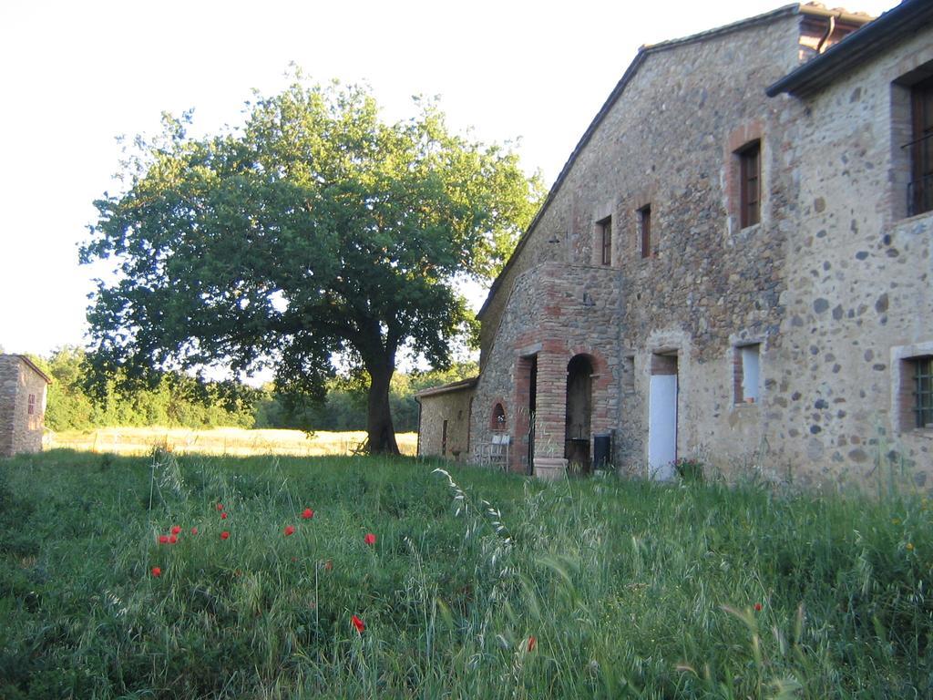 Agriturismo Il Casalino Pari Dış mekan fotoğraf