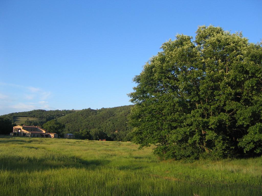 Agriturismo Il Casalino Pari Dış mekan fotoğraf